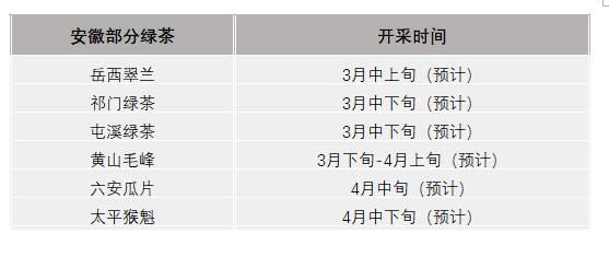 有关于2021年春茶已开采各名茶区绿茶采摘时间汇总的新闻(11)
