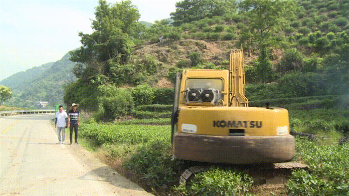 有关于抓好源头,促进福鼎白茶产业绿色高质量发展的资讯(1)