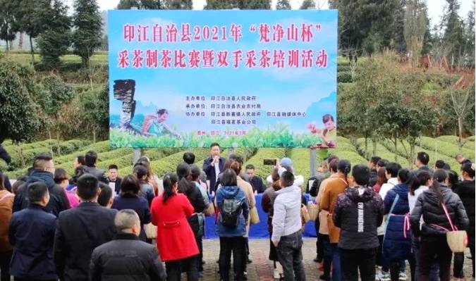 有关于梵净茶缘“高手”齐聚,印江上演茶艺大比拼的最新资讯