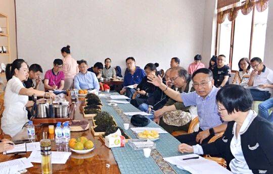 关于国内茶叶专家到云县漫湾镇白莺山古茶园进行科学考察的热门信息(14)