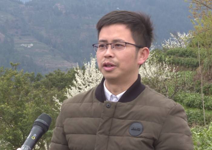 关于雷山县春茶采摘加工正当时，一年一度茶飘香！的热门新闻(6)