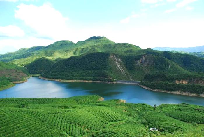 有关于我国速溶茶产业创新发展趋势与主要技术需求的热门消息(11)