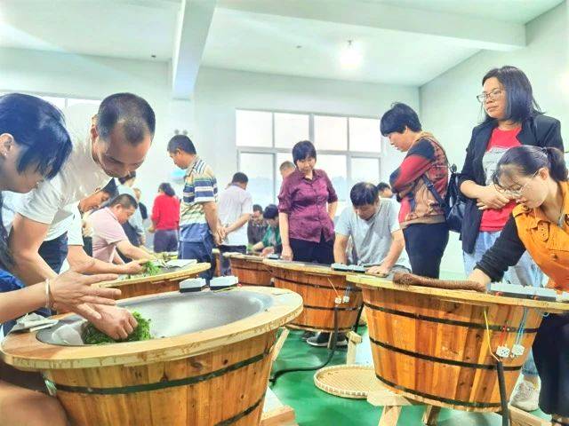 关于理论实践紧密结合，加快茶叶职业技能提升步伐的资讯(6)