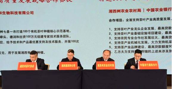 有关于中国黄金茶之乡湘西茶叶推介会 推动茶叶产业高质量发展的信息(7)