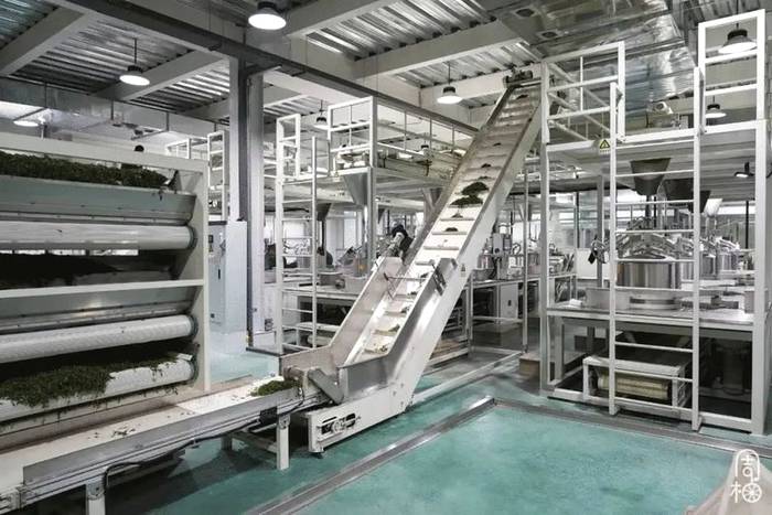 有关于日加工40000斤鲜叶只需5个人?探秘武义有机茶里的“黑科技”的信息(12)