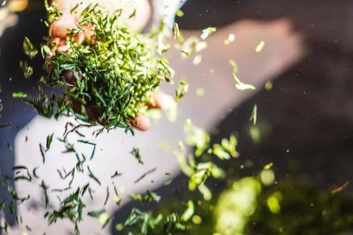 有关于福建省委书记尹力：茶叶是福建的一张名片的热门消息(22)