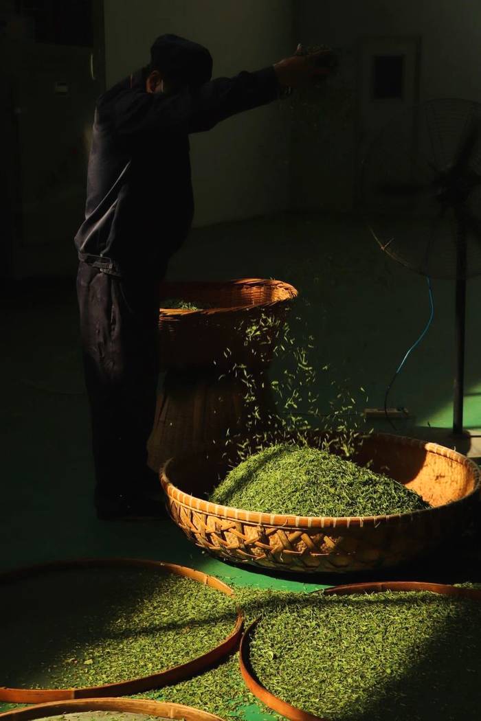 关于茶叶龙头企业的责任与担当——看“骏眉中国”如何助力脱贫攻坚与乡村振兴的热门信息(10)