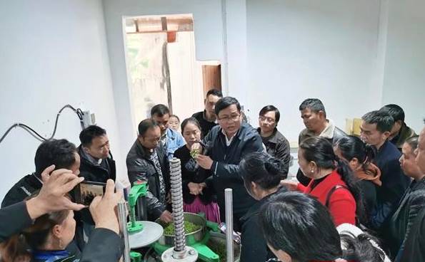 有关于凤凰县：省茶叶专家到该县茶叶基地开展技术知识培训的资讯