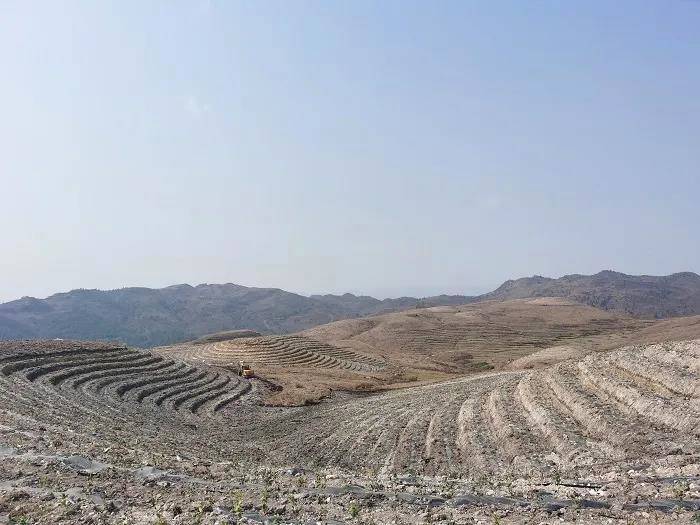 关于龙里县荒山变茶园，小流域治理绿山头富百姓的最新信息(2)