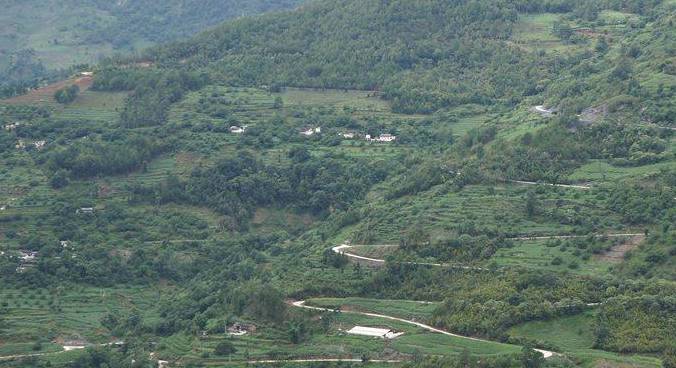 有关于保山昌宁更戛乡：茶叶产业出现较好发展势头的最新资讯