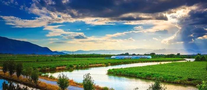 关于闽榕·福州茉莉花茶助力“文化和自然遗产日”的最新消息(3)