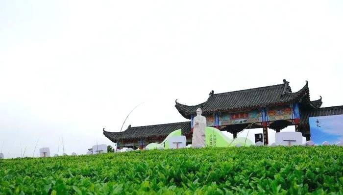 关于茶香飘万里！这片小小的叶子，让世界认识了铜仁的最新资讯(4)