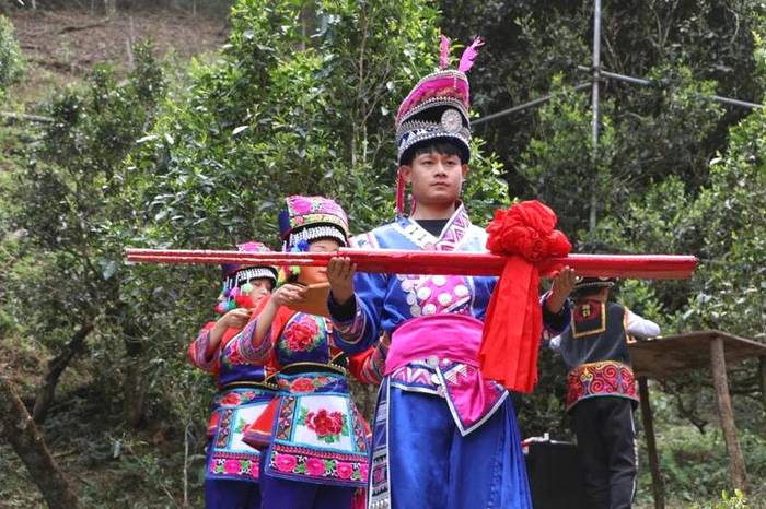 关于2021普洱五棵桩古茶园举行祭茶祖暨春茶开采仪式的信息(4)