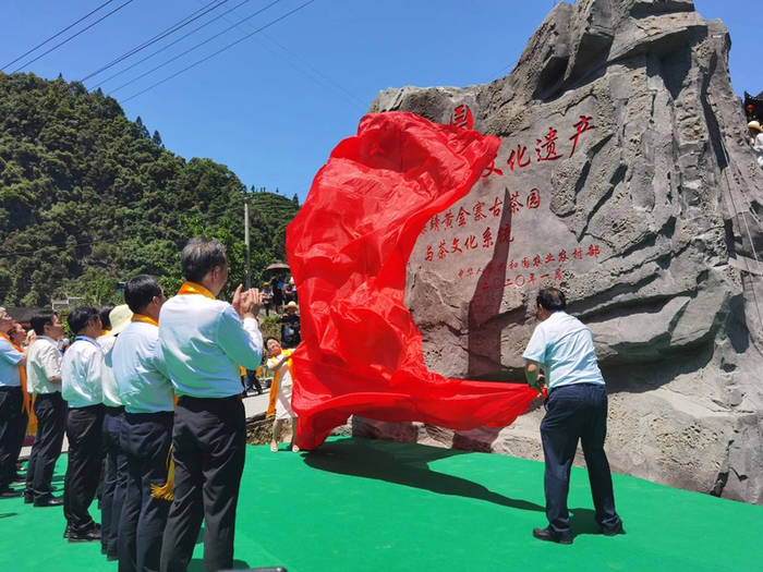 有关于“保靖黄金茶国家地理标志产品保护示范区” 入选“2021年国家地理标志产品保护示范区筹建名单”的热门资讯(2)