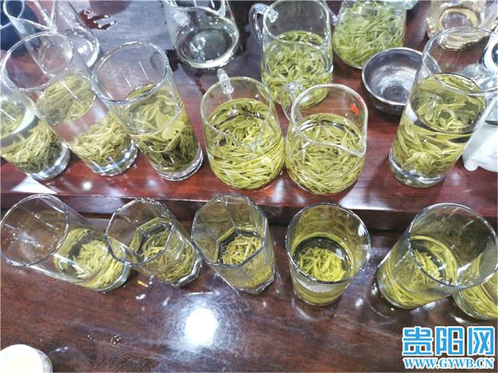 关于贵州春茶上市啦!记者走访贵阳最大茶叶销售市场的消息(3)