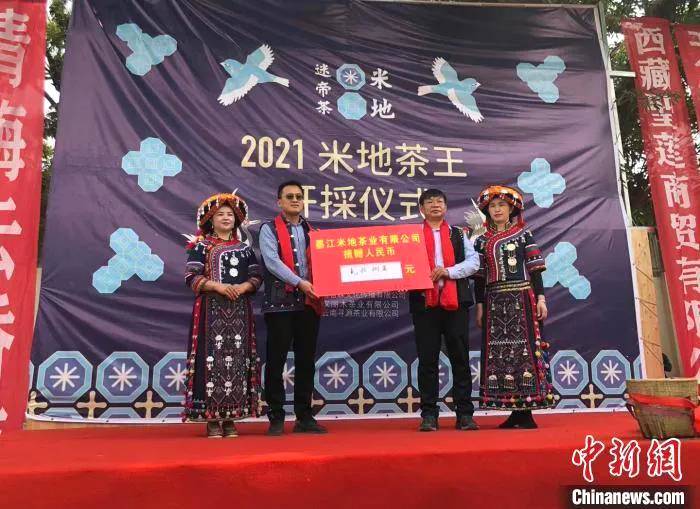 有关于米地贡茶园茶王树933克鲜叶拍出23万元的热门信息(2)