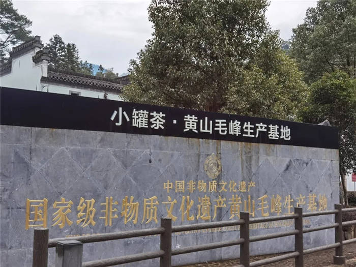 关于安徽：六安市茶协赴黄山考察交流茶产业发展的信息(7)