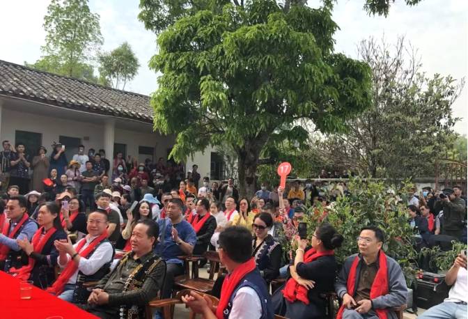 关于墨江米地贡茶春茶头采,933克鲜叶拍出23万元!的最新消息(4)