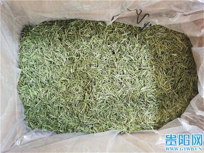 关于贵州春茶上市啦!记者走访贵阳最大茶叶销售市场的消息(5)