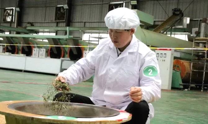 有关于梵净茶缘“高手”齐聚,印江上演茶艺大比拼的最新资讯(5)