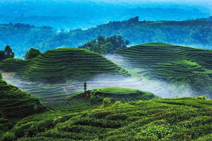 有关于2021年农业农村部重点扶持这样28个项目的最新信息(6)