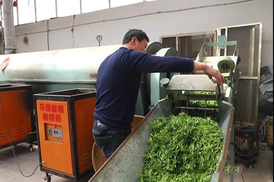 关于日照市岚山区大棚春茶上市！刚出锅的茶叶可真香~的热门消息(2)