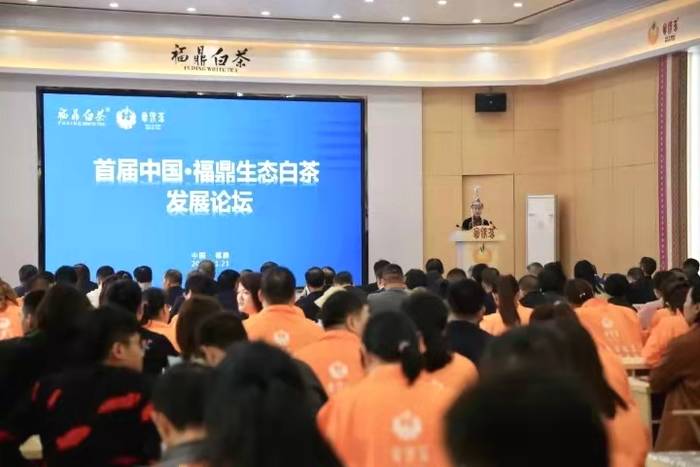 关于一样的路，不一样的风景——回首2020的福鼎白茶的信息(23)