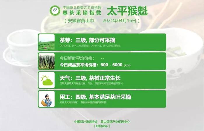 有关于【春茶采摘指数】尽享武夷风韵,武夷岩茶(黄观音)正式开采!的热门消息(4)