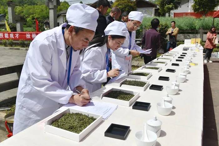 有关于广元市首届茶产业职业技能竞赛采茶与制茶比赛成功举办的新闻(4)