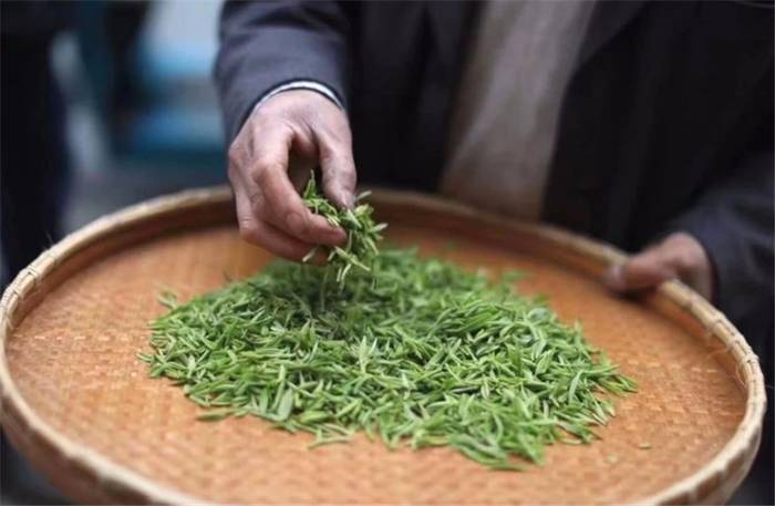 关于“2020中国茶叶出口发展趋势”“古茶首届春茶开采”“白茶涨势明了”的热门新闻(7)