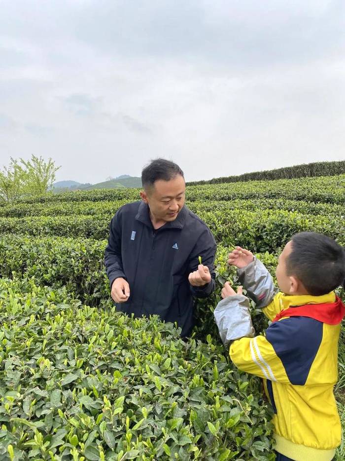 关于茶文化从娃娃抓起，林城苗苗学校开展“茶叶研学”的热门新闻(3)