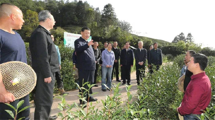 有关于一周茶事 | 春日中国,八方开茶!茶业获最新最权威指示的新闻