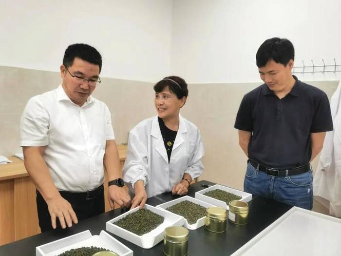 有关于“平水日铸茶”地理标志工作得到农业农村部相关领导肯定的最新消息(2)