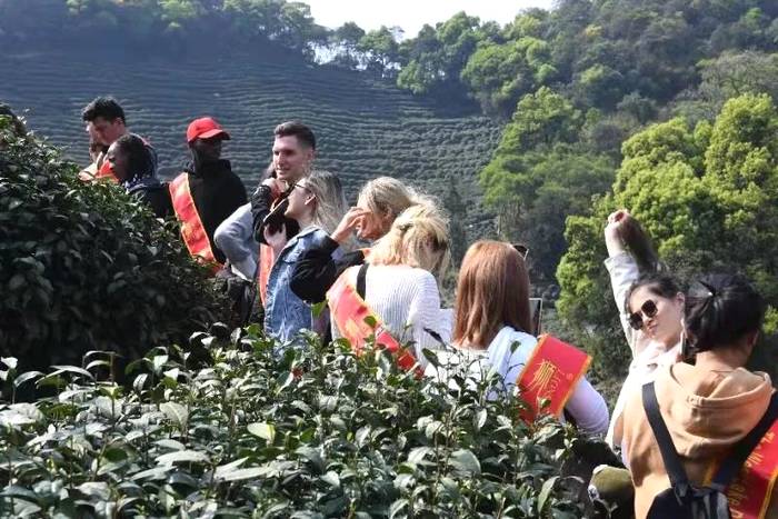 关于“一带一路”留学生西湖龙井研学班走进狮牌的热门资讯(4)