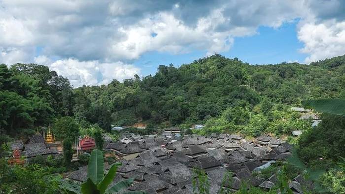 关于以红色血脉助力云南普洱景迈山古茶林申遗“百米冲刺”的热门消息(1)