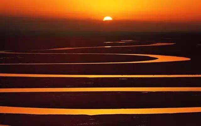 关于贵州正安县赴西北招商助推地方茶产业发展的热门资讯