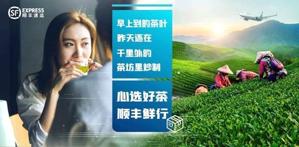 关于浙江春茶上市正当时 顺丰为浙江茶农茶商排忧解难的最新资讯