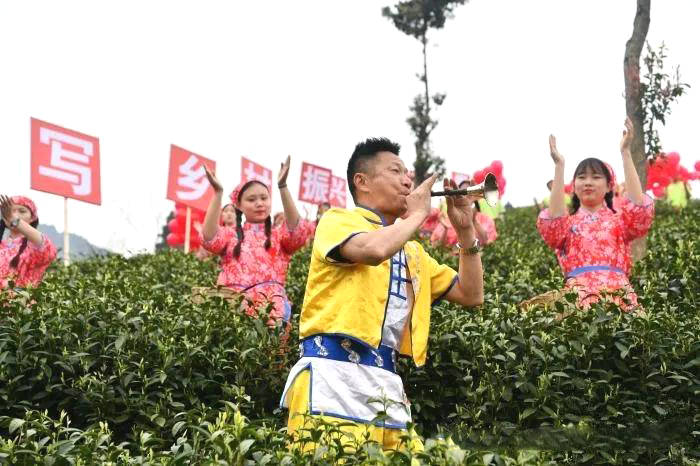 有关于四川大竹上演传统民俗“喊山开茶”(组图)的热门资讯(4)