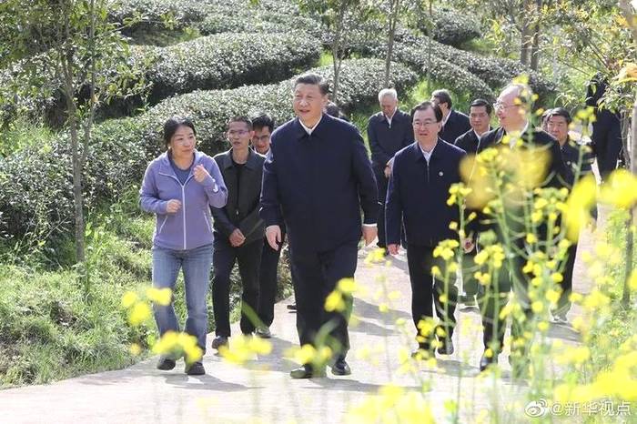 关于习近平总书记22日下午来到星村镇燕子窠生态茶园、朱熹园的消息(1)