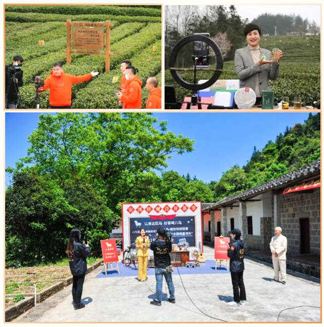 有关于“最难年份”2020的茶界顶流事件回顾的新闻(4)