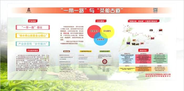 关于梧州六堡茶荣获“大湾区最受消费者喜爱区域公共品牌奖”的新闻(7)