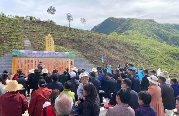 有关于第二届陕西网上茶博会走进镇巴长岭望月 一片叶子富一方百姓的最新消息(1)