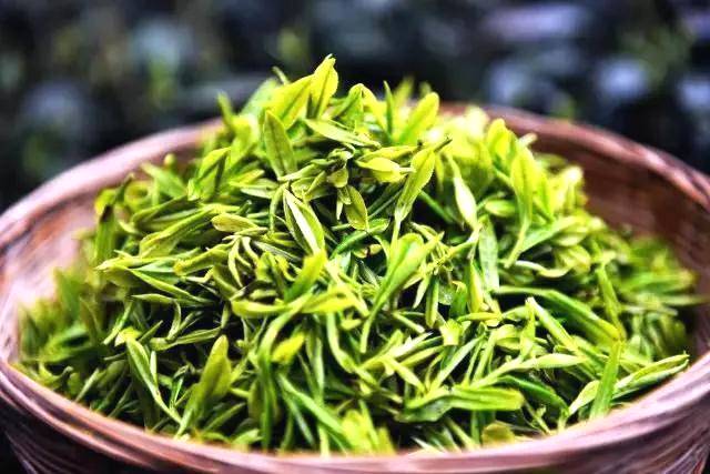 关于一周速读：国外5大茶产业趋势、茶博会上N种新形式、一场硒+茶的大赛及论坛举办在即的最新信息(1)