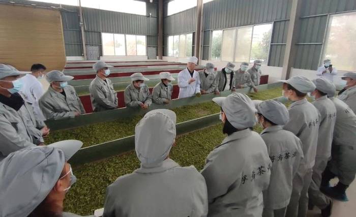 关于面对面交流 手把手传授 贵州绿茶·正安白茶加工技术培训班在正安县开班的热门消息(7)