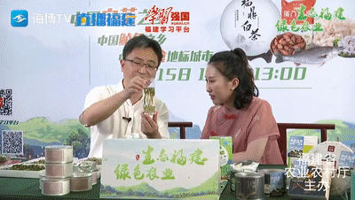 关于一样的路，不一样的风景——回首2020的福鼎白茶的信息(6)