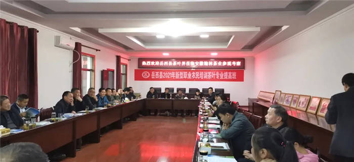 关于岳西县农业农村局副局长方再友一行赴泾县考察交流茶业发展的消息(4)