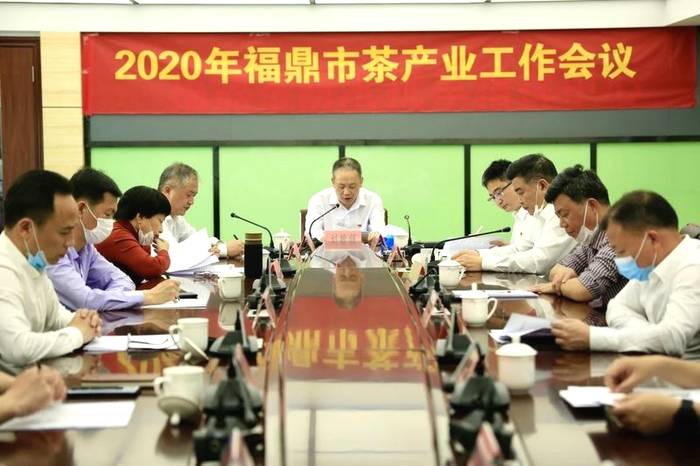 关于一样的路，不一样的风景——回首2020的福鼎白茶的信息(5)