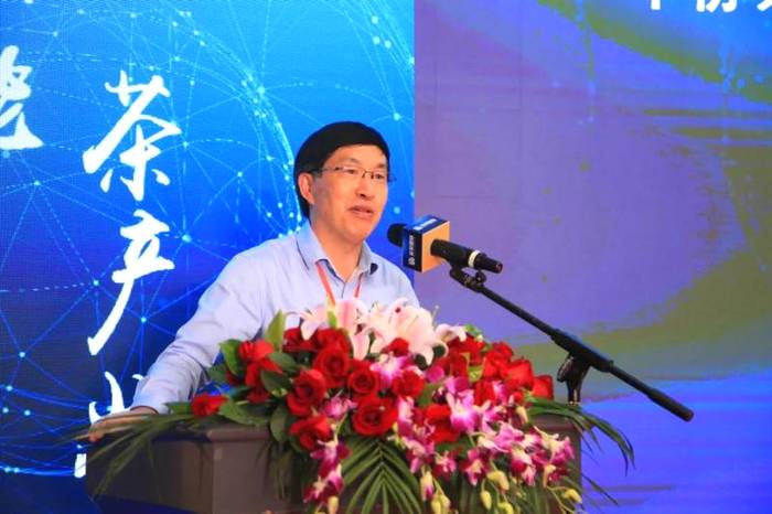 关于高峰论坛，专家齐聚！探讨年份茶“标准化、数字化”的热门新闻(12)