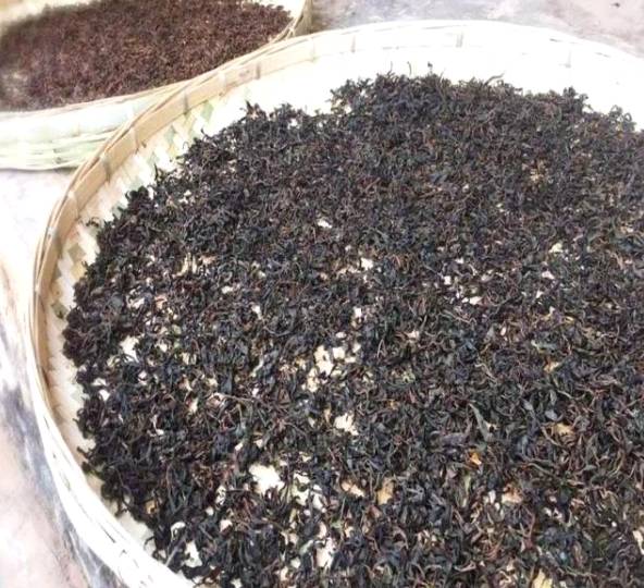 有关于云南各地春茶开采 一片茶叶成就一个绿色产业的最新信息(17)