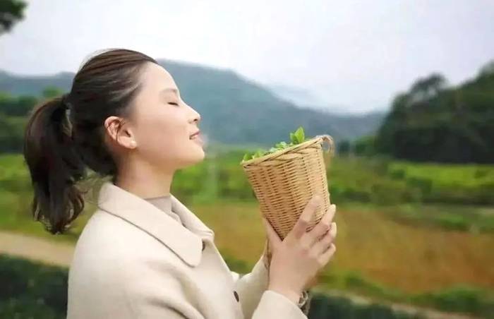 有关于列车上的“政和白茶”，让健康的好茶，传递千家万户的最新消息(8)